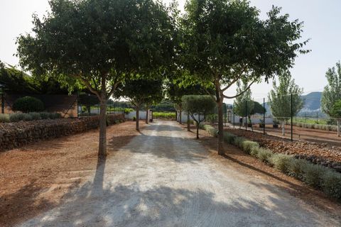 Finca i Lliber, Alicante, Lliber - € 1.550.000 | Ref: R4881535 - foto 37