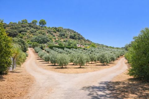 Villa a Ronda, Malaga, Ronda - € 550.000 | Ref: R5146912 - foto 23
