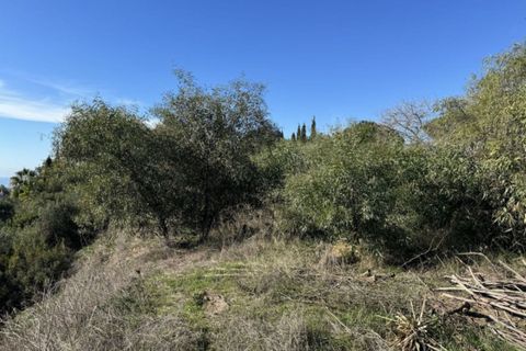 Villa i Elviria, Malaga, Elviria - € 1.995.000 | Ref: R4433683 - foto 7