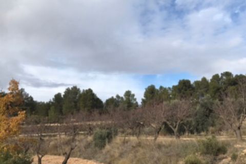 Finca i Caseres, Tarragona, Caseres - € 5 000 | Ref: C1 - foto 4