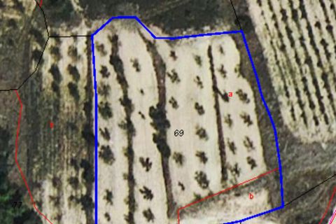Finca i Caseres, Tarragona, Caseres - € 5 000 | Ref: C1 - foto 6