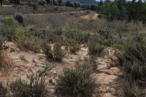 Finca i Caseres, Tarragona, Caseres - € 5 000 | Ref: C1 - foto 2