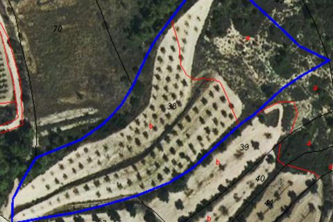 Finca i Caseres, Tarragona, Caseres - € 7.000 | Ref: C2 - foto 8