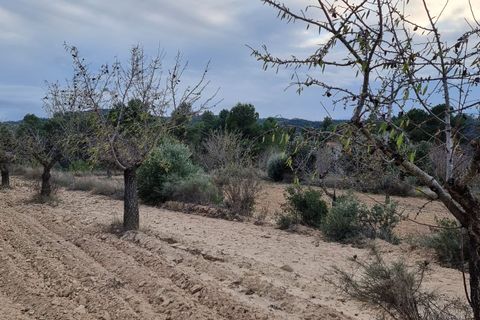 Finca i Caseres, Tarragona, Caseres - € 7.000 | Ref: C2 - foto 6