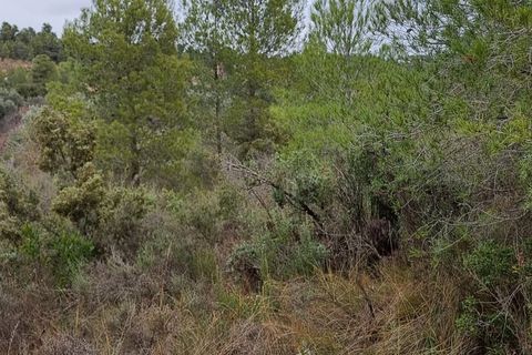 Finca i Caseres, Tarragona, Caseres - € 7.000 | Ref: C2 - foto 4