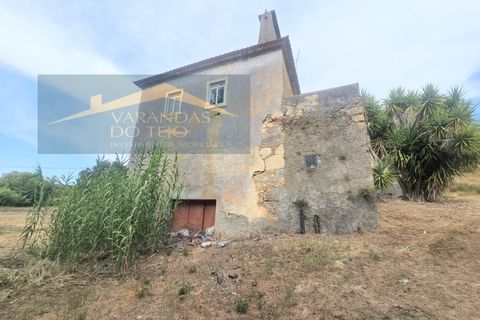 Granja a Pernes, Santarem, Pernes - € 87.500 | Ref: FIN_37 - foto 3
