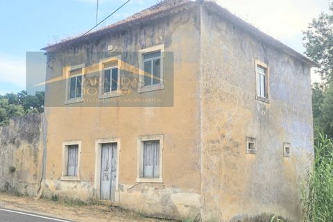 Granja a Pernes, Santarem, Pernes - € 87.500 | Ref: FIN_37 - foto 4