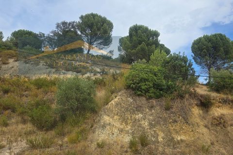 Granja a Pernes, Santarem, Pernes - € 87.500 | Ref: FIN_37 - foto 6