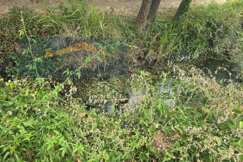 Granja a Pernes, Santarem, Pernes - € 87.500 | Ref: FIN_37 - foto 7