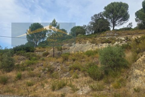Granja a Pernes, Santarem, Pernes - € 87.500 | Ref: FIN_37 - foto 8