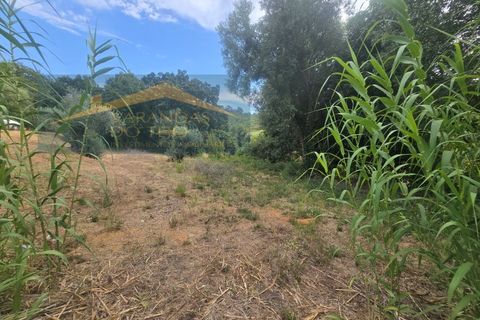Granja a Pernes, Santarem, Pernes - € 87.500 | Ref: FIN_37 - foto 9