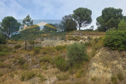 Granja a Pernes, Santarem, Pernes - € 87.500 | Ref: FIN_37 - foto 10