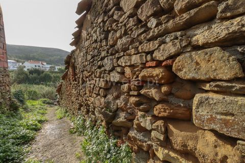 Villa i Cadaval, Lisbon, Cadaval - € 64.900 | Ref: 295250121 - foto 4