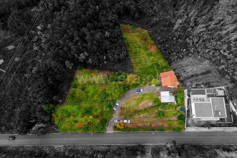 Villa i Calheta, Madeira, Calheta - € 350.000 | Ref: 081250280 - foto 11