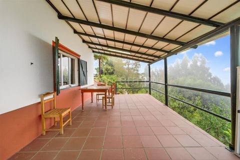Villa i Calheta, Madeira, Calheta - € 350.000 | Ref: 081250280 - foto 20
