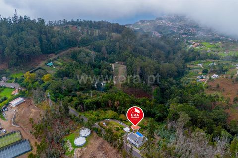 Villa i Calheta, Madeira, Calheta - € 350.000 | Ref: 081250280 - foto 33