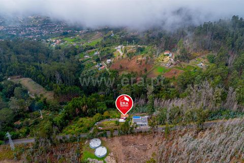 Villa i Calheta, Madeira, Calheta - € 350.000 | Ref: 081250280 - foto 35