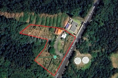 Villa i Calheta, Madeira, Calheta - € 350.000 | Ref: 081250280 - foto 37