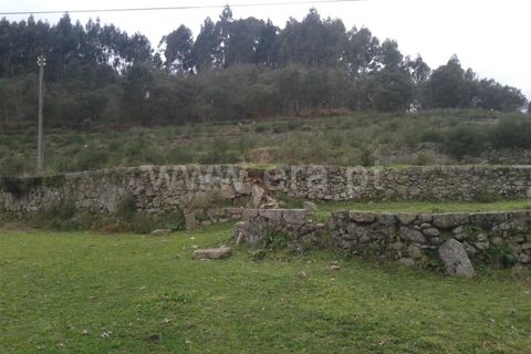 Helårsgrund i Barcelos, Braga, Barcelos - € 750.000 | Ref: 254260228 - foto 2