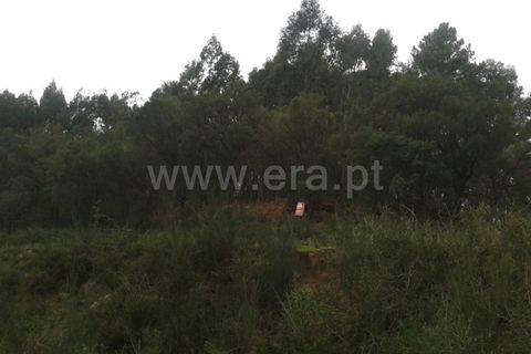 Helårsgrund i Barcelos, Braga, Barcelos - € 750.000 | Ref: 254260228 - foto 6
