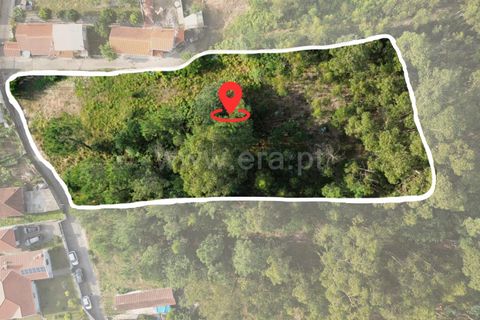Helårsgrund i Barcelos, Braga, Barcelos - € 52.500 | Ref: 254260606 - foto 4