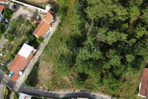 Helårsgrund i Barcelos, Braga, Barcelos - € 52.500 | Ref: 254260606 - foto 5