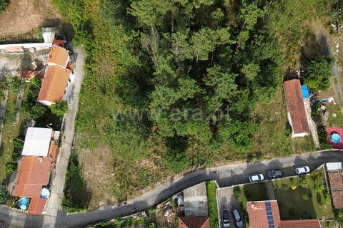 Helårsgrund i Barcelos, Braga, Barcelos - € 52.500 | Ref: 254260606 - foto 6