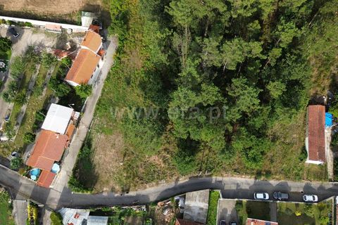 Helårsgrund i Barcelos, Braga, Barcelos - € 52.500 | Ref: 254260606 - foto 7