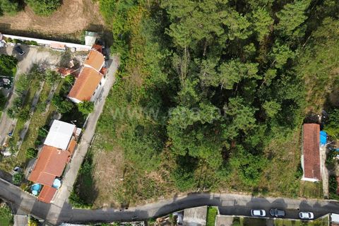 Helårsgrund i Barcelos, Braga, Barcelos - € 52.500 | Ref: 254260606 - foto 9