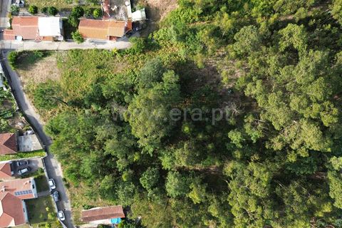 Helårsgrund i Barcelos, Braga, Barcelos - € 52.500 | Ref: 254260606 - foto 10