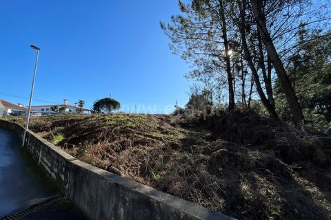 Helårsgrund i Barcelos, Braga, Barcelos - € 320.000 | Ref: 254260336 - foto 4