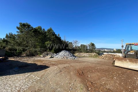 Helårsgrund i Barcelos, Braga, Barcelos - € 320.000 | Ref: 254260336 - foto 5