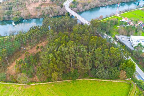 Helårsgrund i Barcelos, Braga, Barcelos - € 220.000 | Ref: 254260337 - foto 3