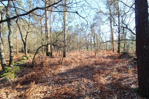 Helårsgrund i Barcelos, Braga, Barcelos - € 199.000 | Ref: 254260326 - foto 4