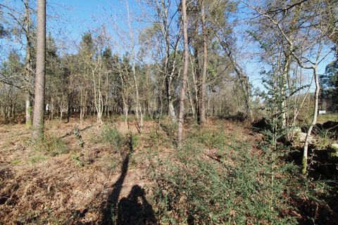 Helårsgrund i Barcelos, Braga, Barcelos - € 199.000 | Ref: 254260326 - foto 5