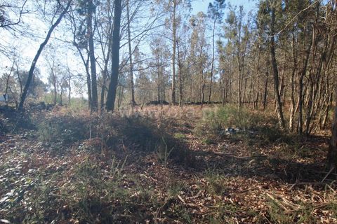 Helårsgrund i Barcelos, Braga, Barcelos - € 199.000 | Ref: 254260326 - foto 6