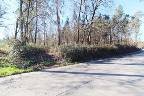 Helårsgrund i Barcelos, Braga, Barcelos - € 199.000 | Ref: 254260326 - foto 7