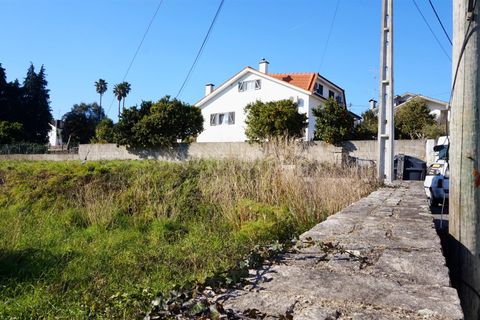 Helårsgrund i Viana do Castelo, Viana do Castelo, Viana do Castelo - € 72.500 | Ref: 254260261 - foto 6