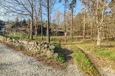 Helårsgrund i Barcelos, Braga, Barcelos - € 80.000 | Ref: 254260452 - foto 2