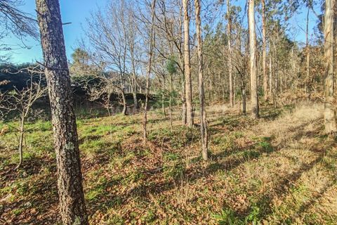 Helårsgrund i Barcelos, Braga, Barcelos - € 80.000 | Ref: 254260452 - foto 5