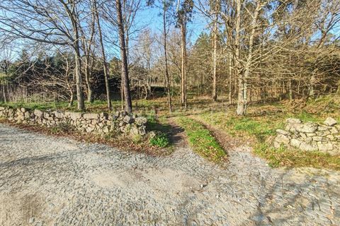 Helårsgrund i Barcelos, Braga, Barcelos - € 80.000 | Ref: 254260452 - foto 6
