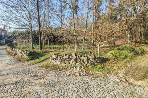 Helårsgrund i Barcelos, Braga, Barcelos - € 80.000 | Ref: 254260452 - foto 12