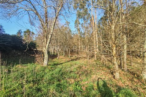 Helårsgrund i Barcelos, Braga, Barcelos - € 80.000 | Ref: 254260452 - foto 13