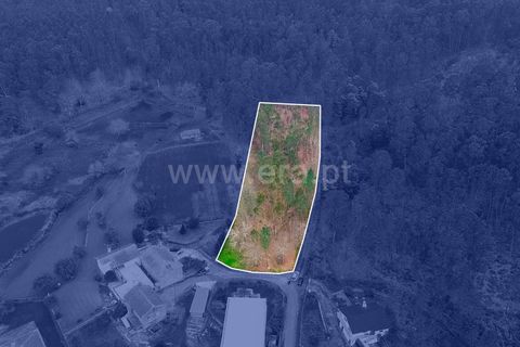 Helårsgrund i Barcelos, Braga, Barcelos - € 80.000 | Ref: 254260452 - foto 15