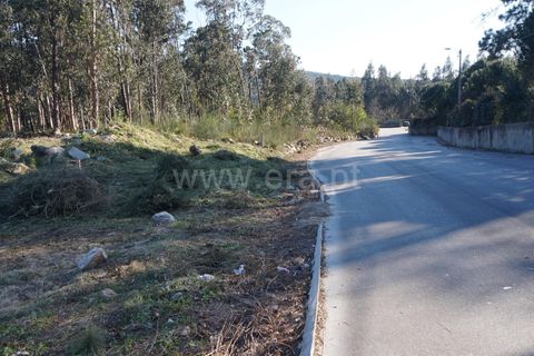 Helårsgrund i Barcelos, Braga, Barcelos - € 77.500 | Ref: 254260262 - foto 5