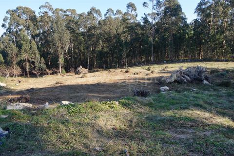 Helårsgrund i Barcelos, Braga, Barcelos - € 77.500 | Ref: 254260262 - foto 7