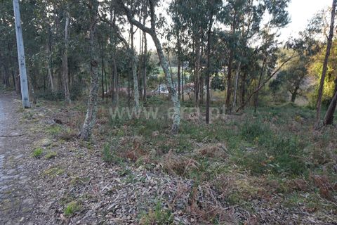 Helårsgrund i Barcelos, Braga, Barcelos - € 52.500 | Ref: 254260265 - foto 4
