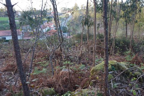 Helårsgrund i Barcelos, Braga, Barcelos - € 52.500 | Ref: 254260265 - foto 5