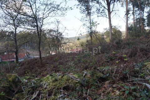 Helårsgrund i Barcelos, Braga, Barcelos - € 52.500 | Ref: 254260265 - foto 8