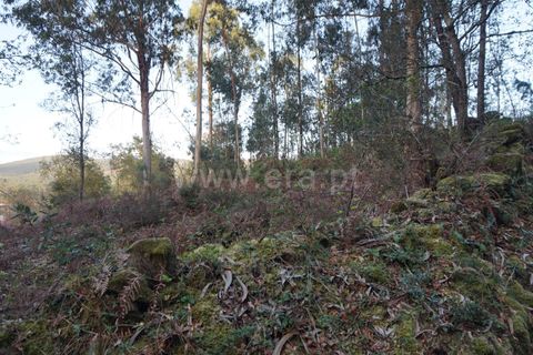 Helårsgrund i Barcelos, Braga, Barcelos - € 52.500 | Ref: 254260265 - foto 11